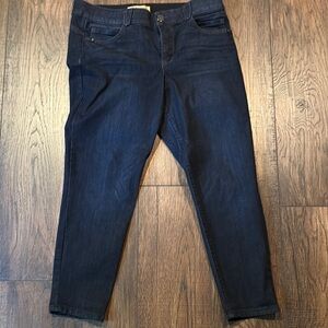 Democracy Blue Skinny Jeans Classic Fit